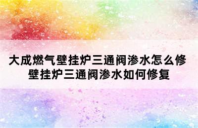 大成燃气壁挂炉三通阀渗水怎么修 壁挂炉三通阀渗水如何修复